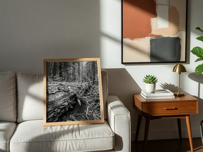 Black and white poster showing fallen tree trunk in dense forest with ferns and detailed textures