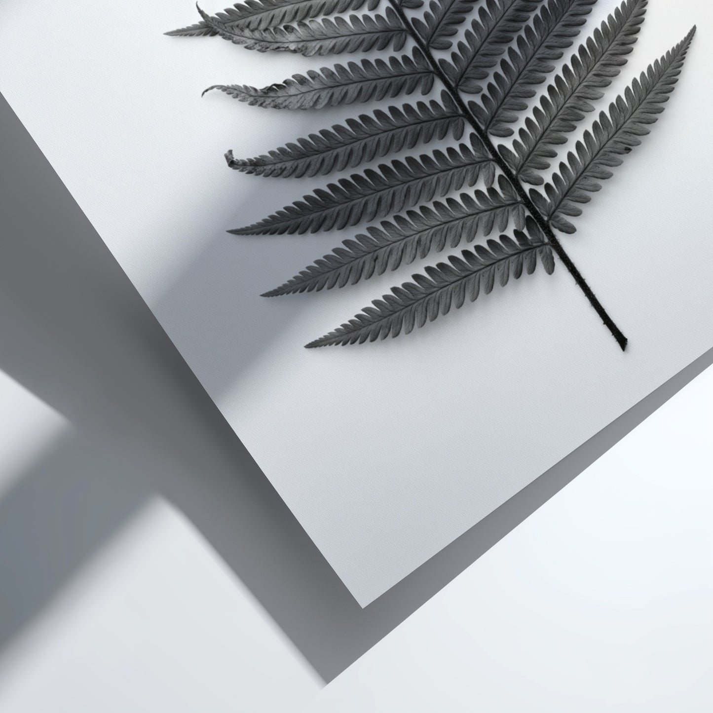 Botanical poster showing a detailed monochrome fern frond laid flat with natural wood frame and soft shadows