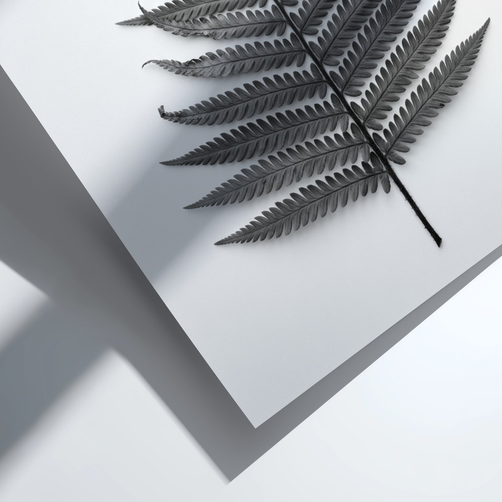 Botanical poster showing a detailed monochrome fern frond laid flat with natural wood frame and soft shadows