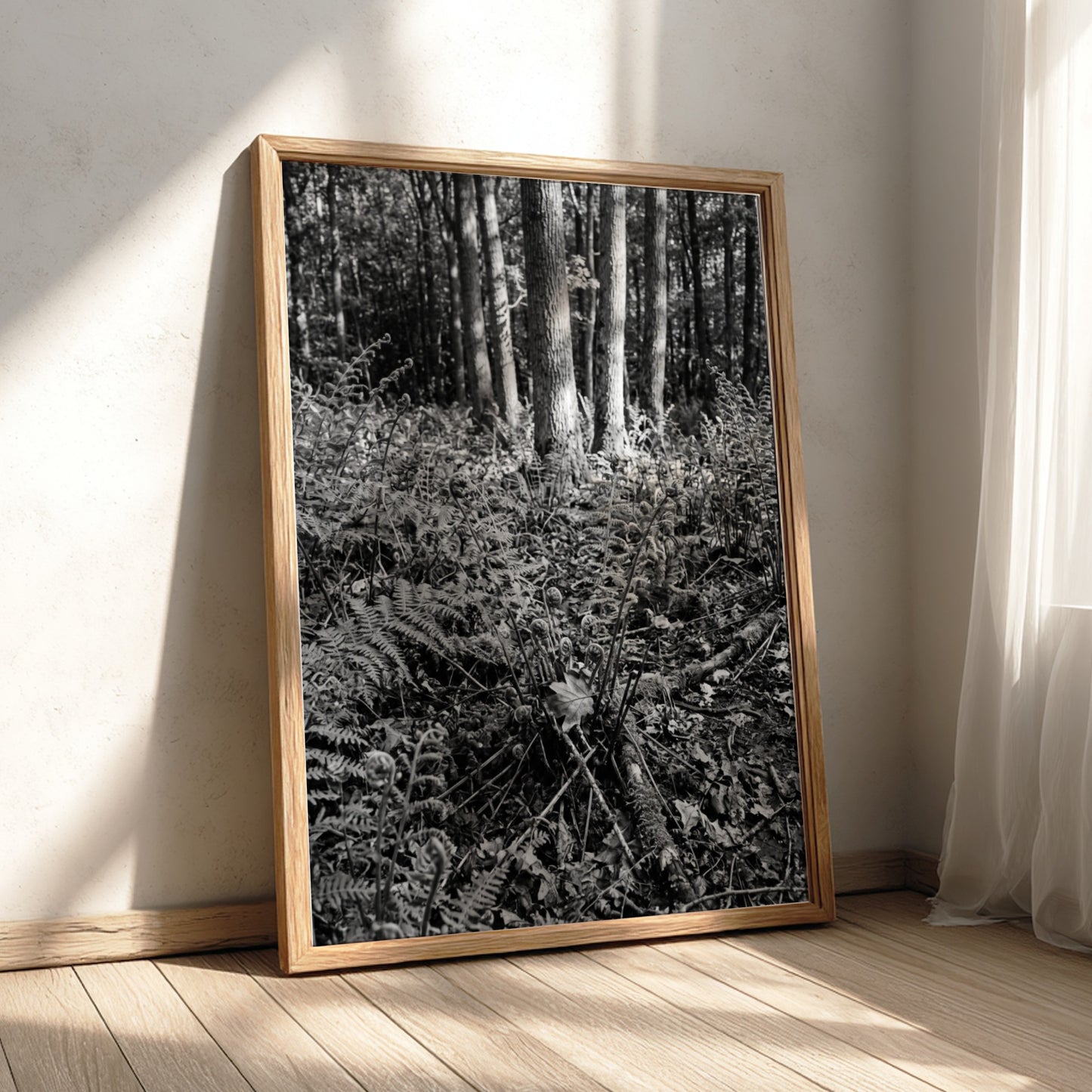 Black and white poster showing ferns on a forest floor with tree trunks and detailed foliage