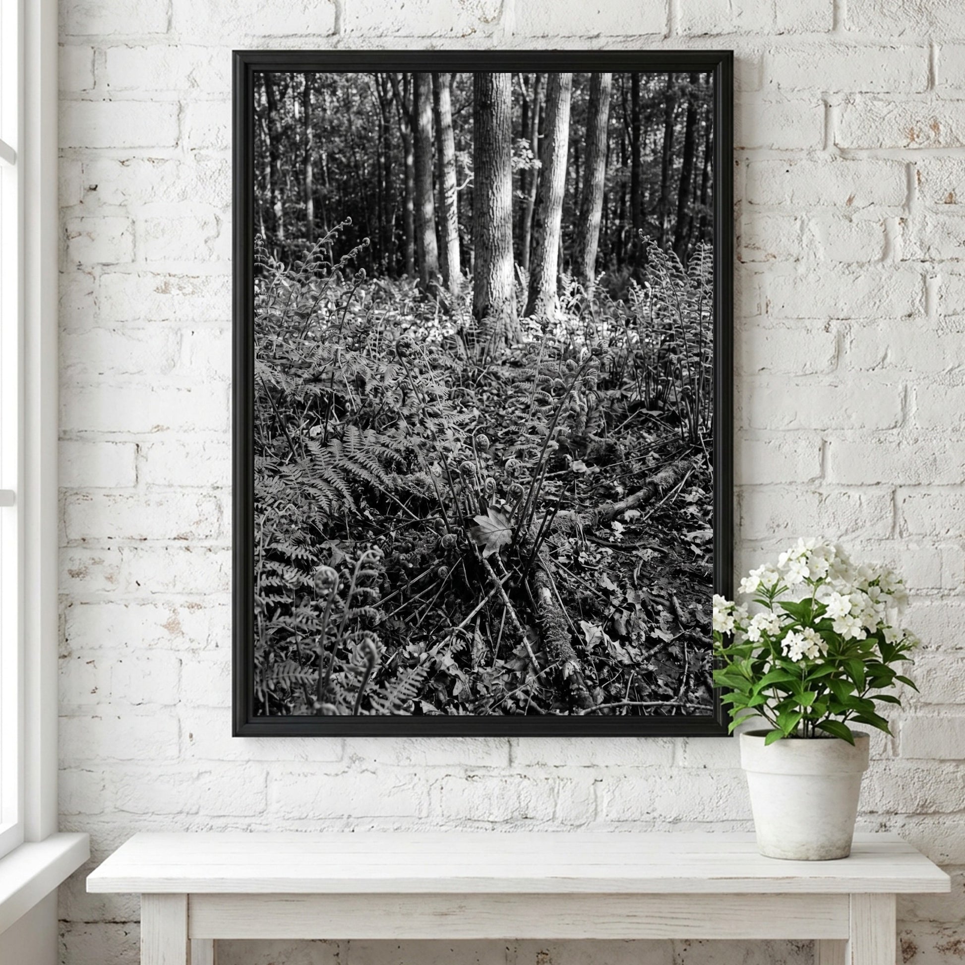 Black and white poster showing ferns on a forest floor with tree trunks and detailed foliage