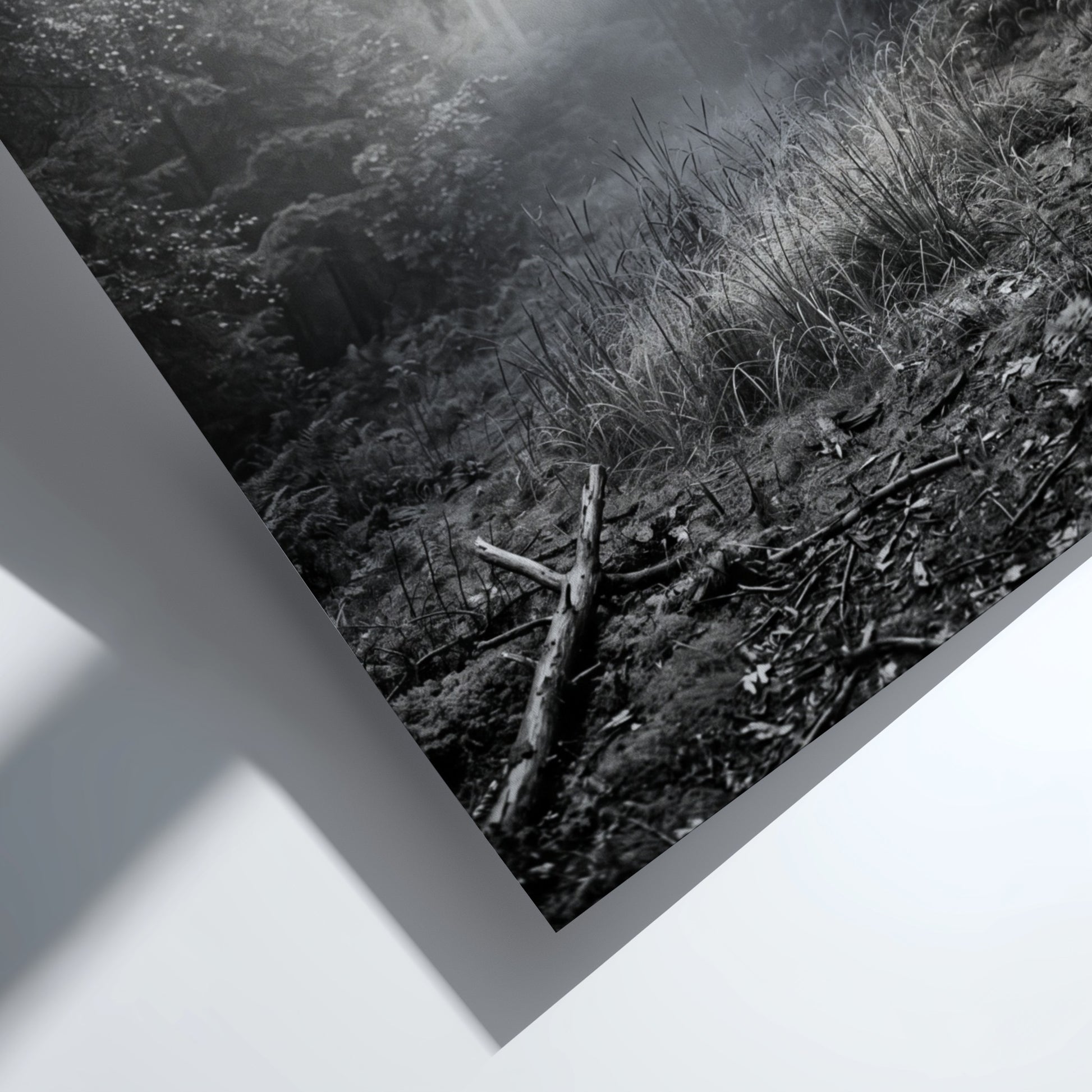 Poster showing a monochrome foggy forest clearing with dense trees and soft light