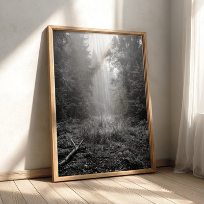 Poster showing a monochrome foggy forest clearing with dense trees and soft light