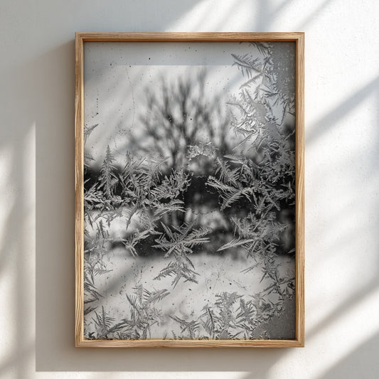 Poster of frost patterns on window with blurred winter trees background in grayscale