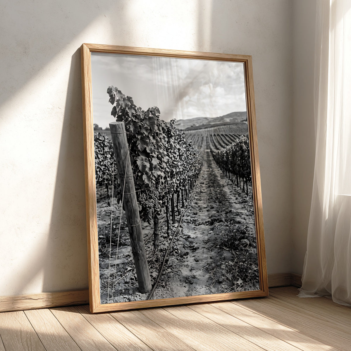 Black and white photographic wall decor showing rows of grapevines receding toward a distant hillside