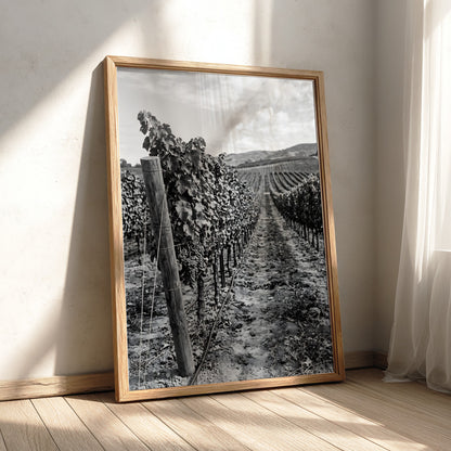 Black and white photographic wall decor showing rows of grapevines receding toward a distant hillside