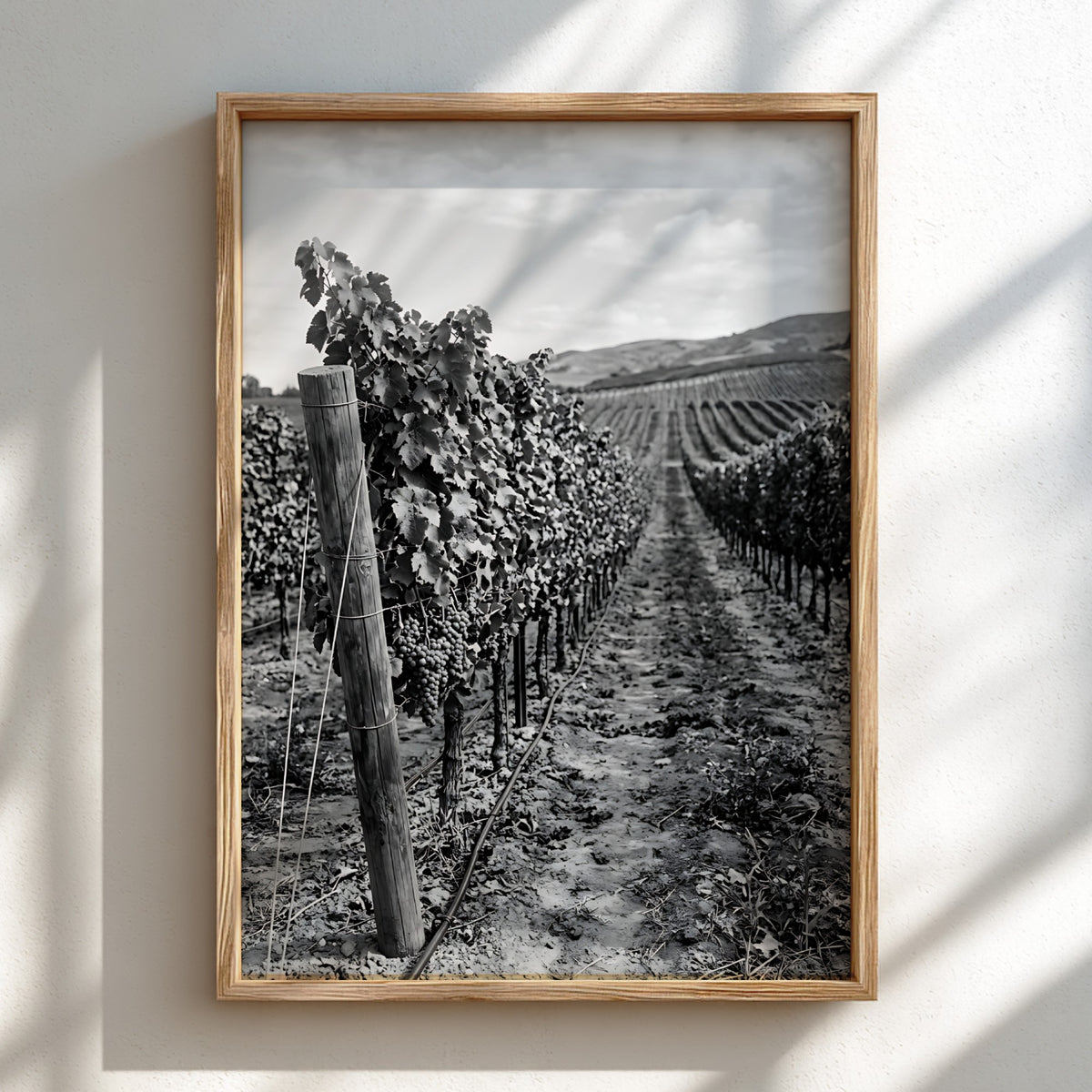 Black and white photographic wall decor showing rows of grapevines receding toward a distant hillside