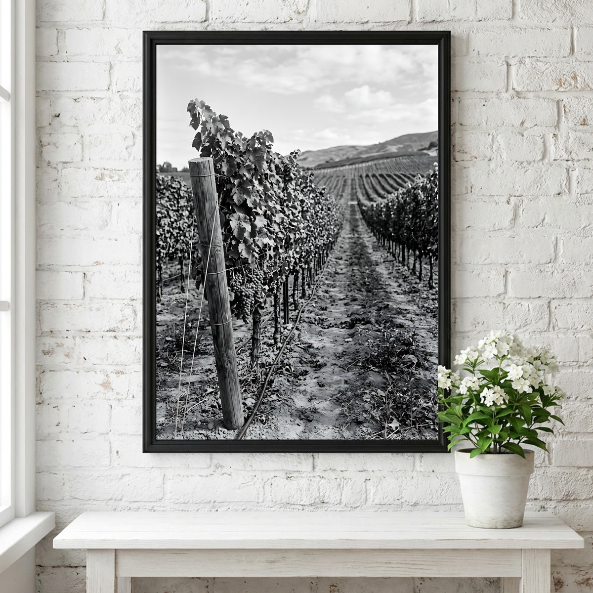 Black and white photographic wall decor showing rows of grapevines receding toward a distant hillside