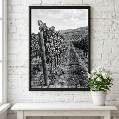 Black and white photographic wall decor showing rows of grapevines receding toward a distant hillside