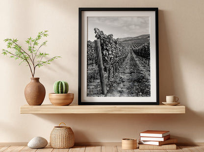Black and white photographic wall decor showing rows of grapevines receding toward a distant hillside