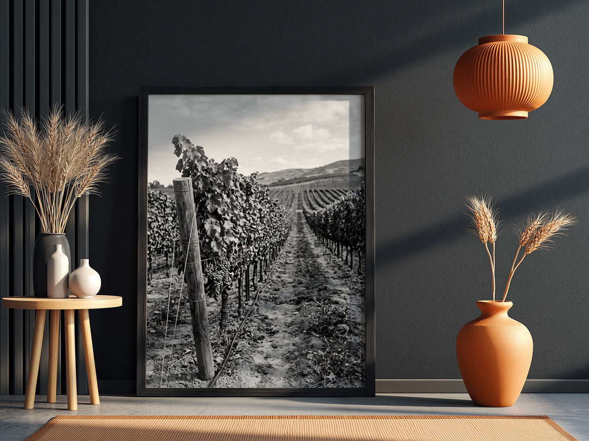 Black and white photographic wall decor showing rows of grapevines receding toward a distant hillside