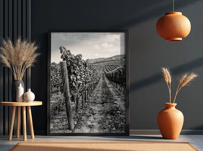 Black and white photographic wall decor showing rows of grapevines receding toward a distant hillside
