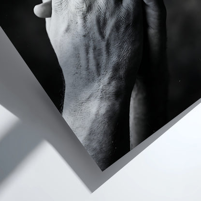 black and white poster featuring expressive hands in detailed monochrome style with textured skin and shadows