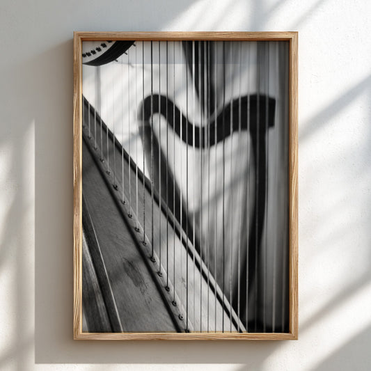 Black and white wall decor showing harp strings receding into soft focus with elegant curves and shadows