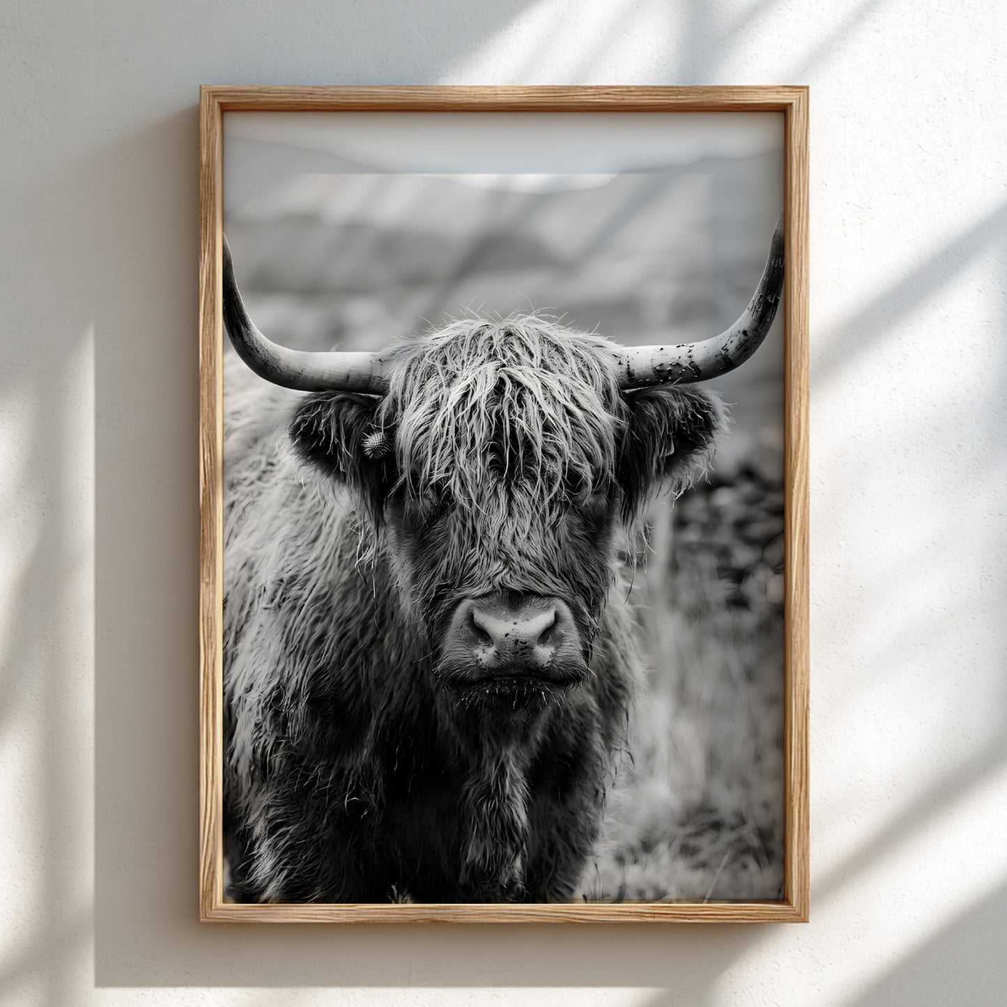 Black and white poster of a highland cow facing camera with shaggy fur and prominent horns