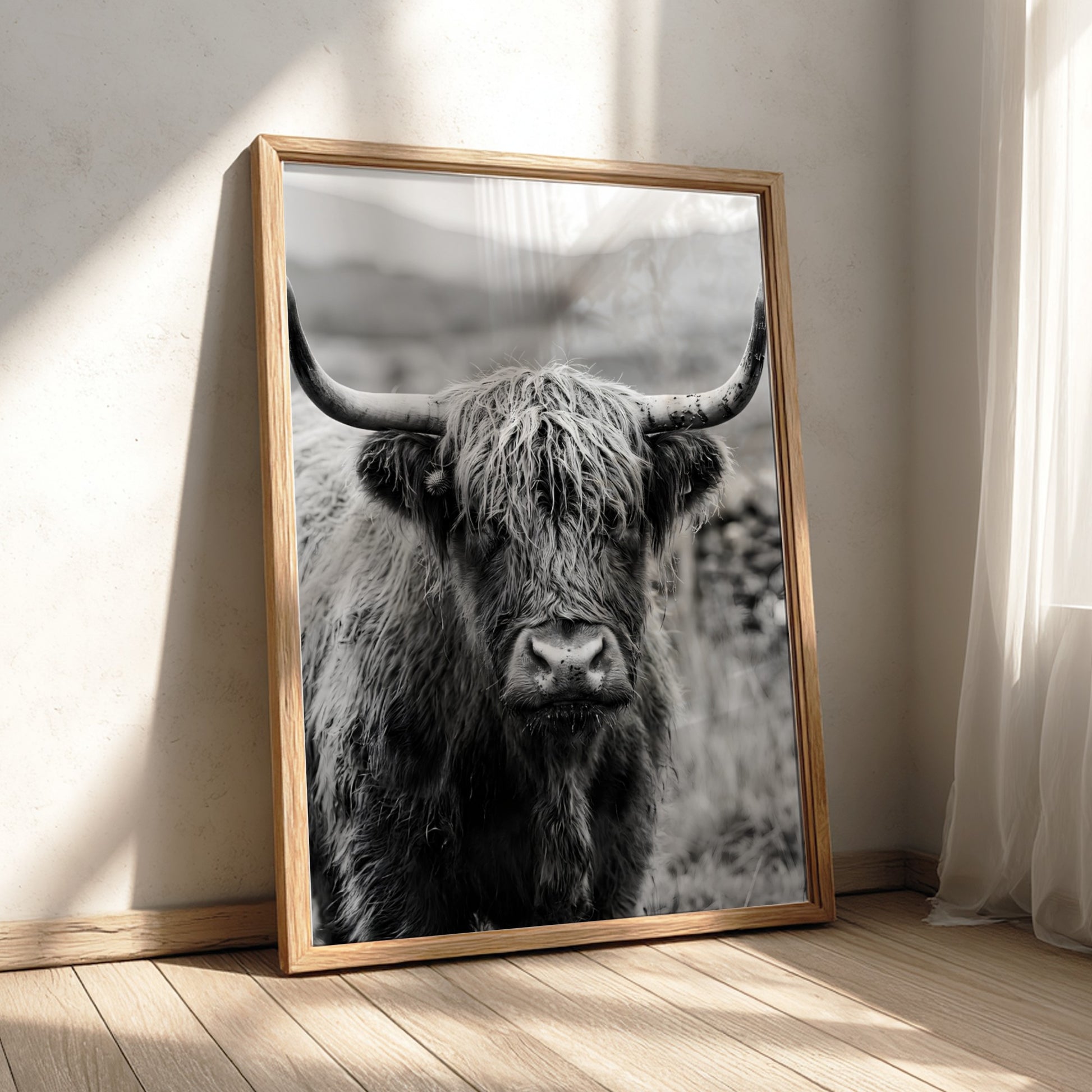 Black and white poster of a highland cow facing camera with shaggy fur and prominent horns