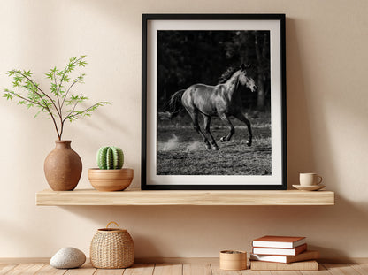 Wall decor black and white poster of galloping horse running on dirt with blurred dark background