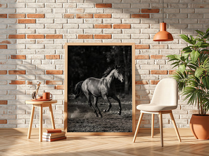 Wall decor black and white poster of galloping horse running on dirt with blurred dark background