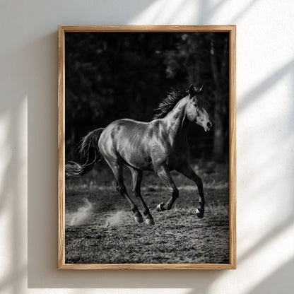 Wall decor black and white poster of galloping horse running on dirt with blurred dark background