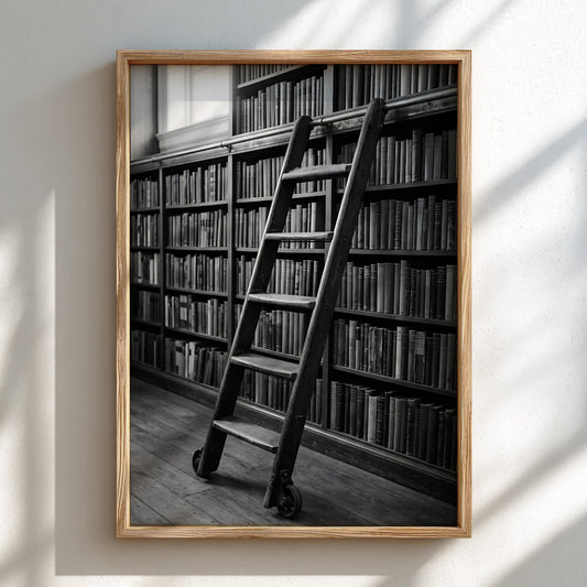 black and white wall decor of wooden library ladder against bookshelf filled with books