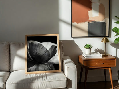 Black and white wall decor showing macro translucent flower petals with detailed textures and soft lighting