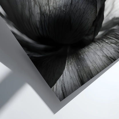 Black and white wall decor showing macro translucent flower petals with detailed textures and soft lighting