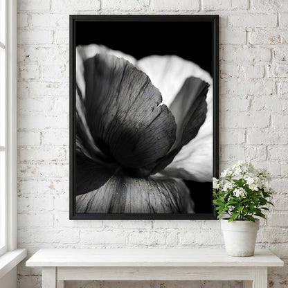 Black and white wall decor showing macro translucent flower petals with detailed textures and soft lighting