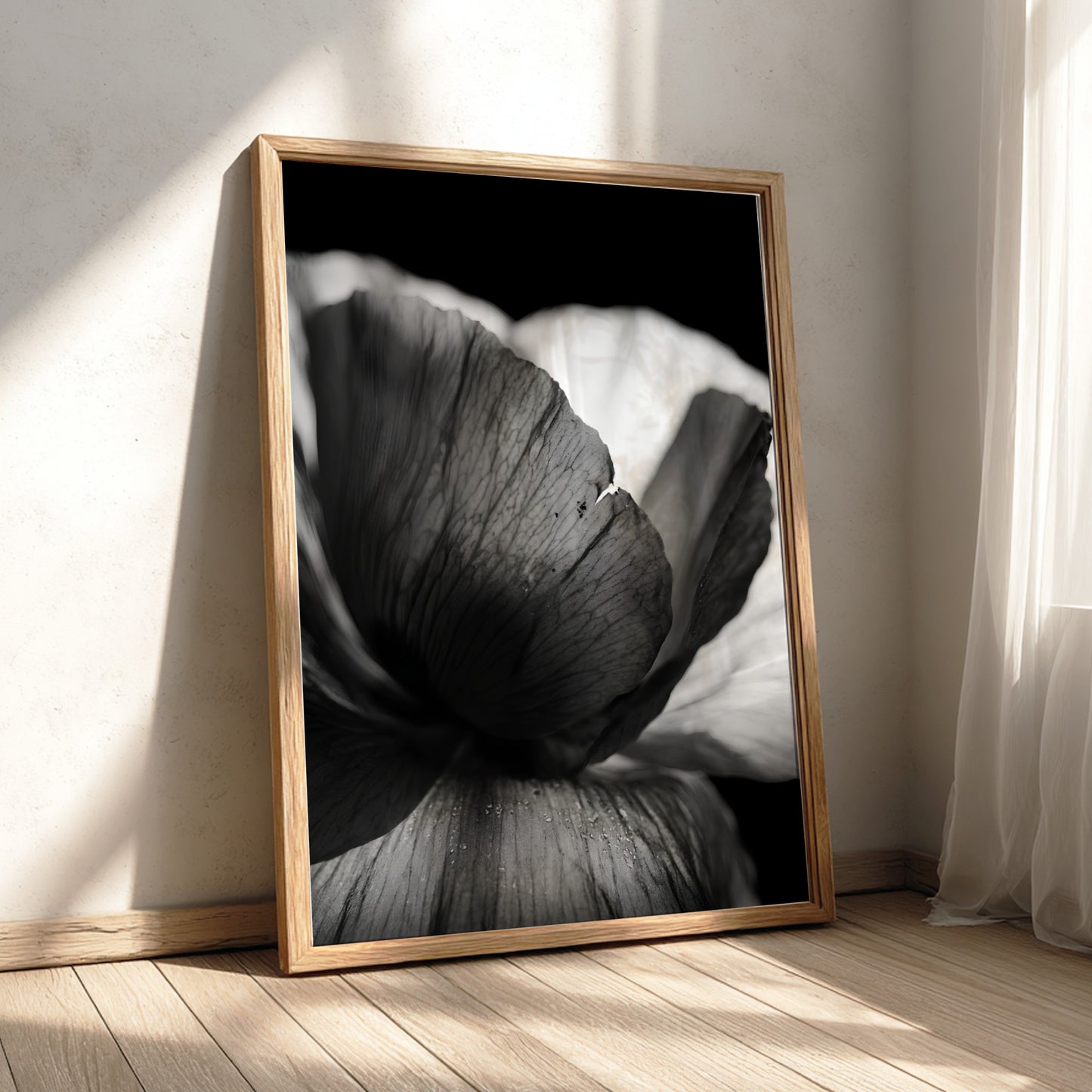 Black and white wall decor showing macro translucent flower petals with detailed textures and soft lighting