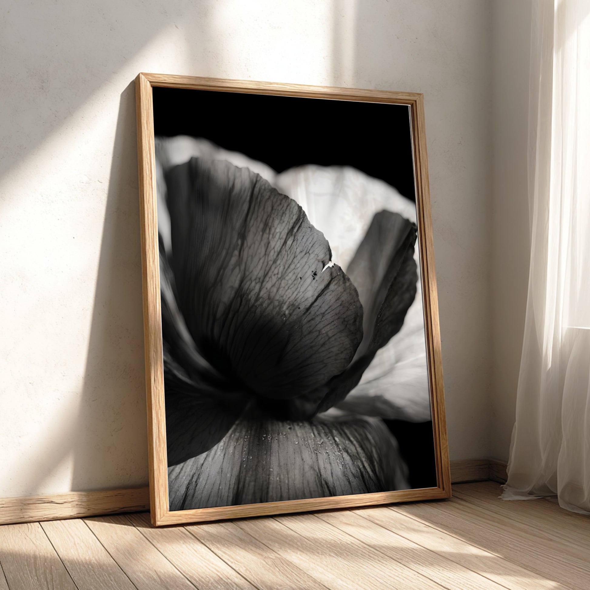 Black and white wall decor showing macro translucent flower petals with detailed textures and soft lighting