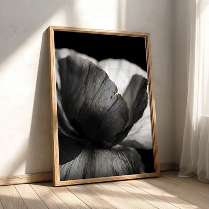 Black and white wall decor showing macro translucent flower petals with detailed textures and soft lighting