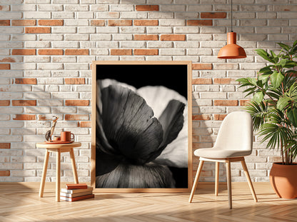 Black and white wall decor showing macro translucent flower petals with detailed textures and soft lighting
