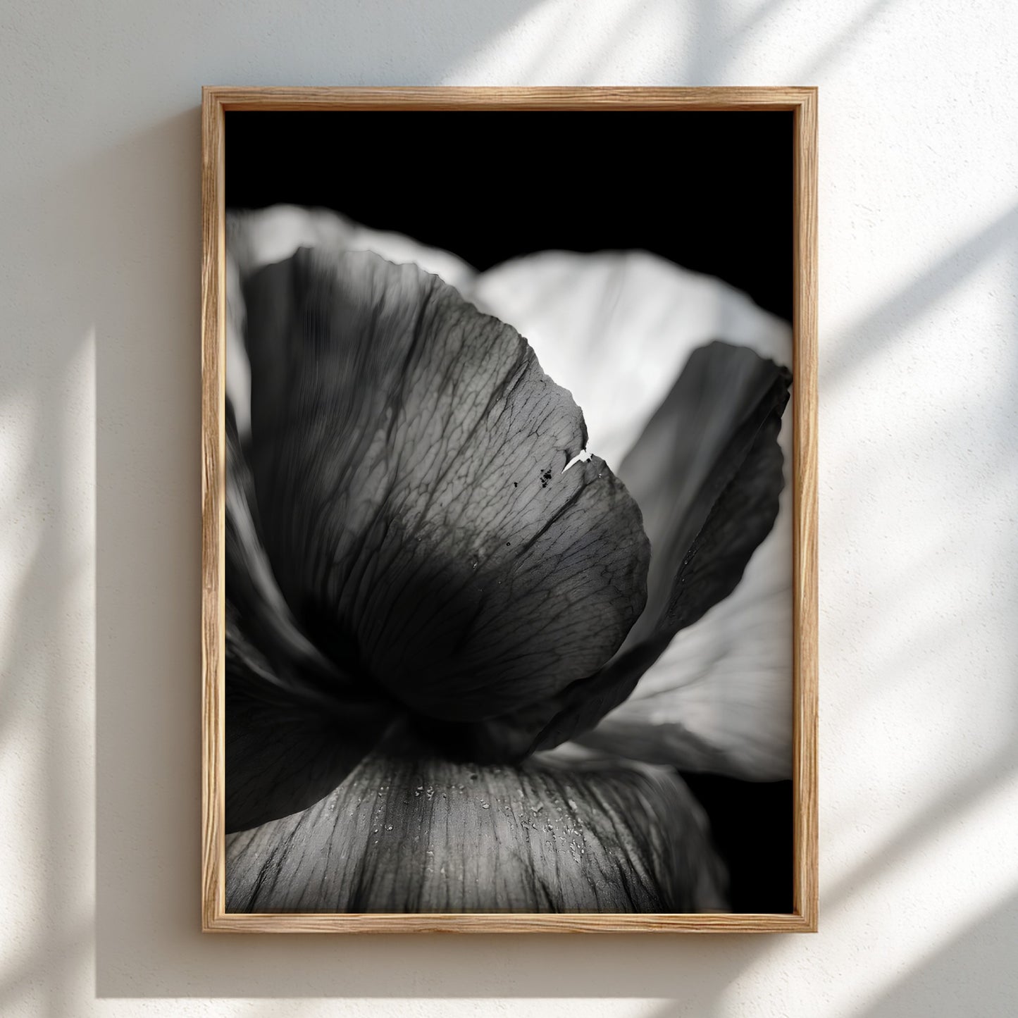 Black and white wall decor showing macro translucent flower petals with detailed textures and soft lighting