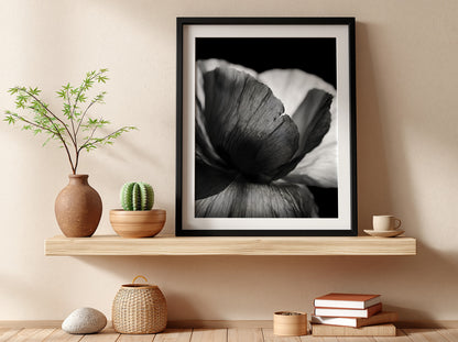 Black and white wall decor showing macro translucent flower petals with detailed textures and soft lighting