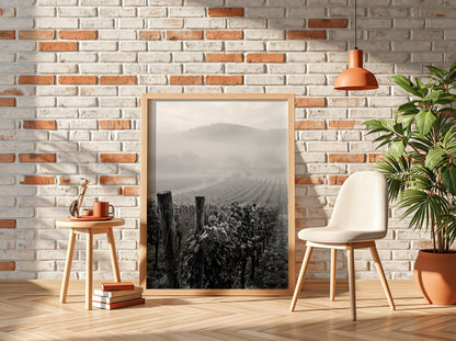 Black and white photographic wall decor showing mist covered vineyard rows with wooden posts and distant hills