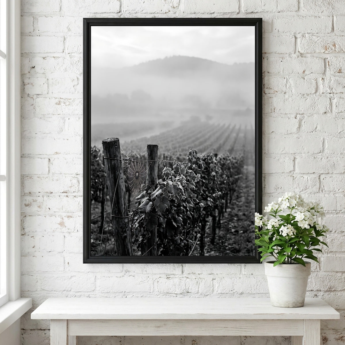 Black and white photographic wall decor showing mist covered vineyard rows with wooden posts and distant hills