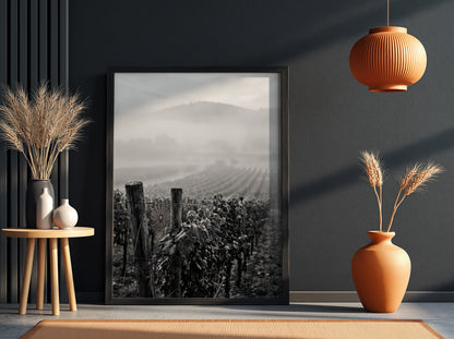 Black and white photographic wall decor showing mist covered vineyard rows with wooden posts and distant hills