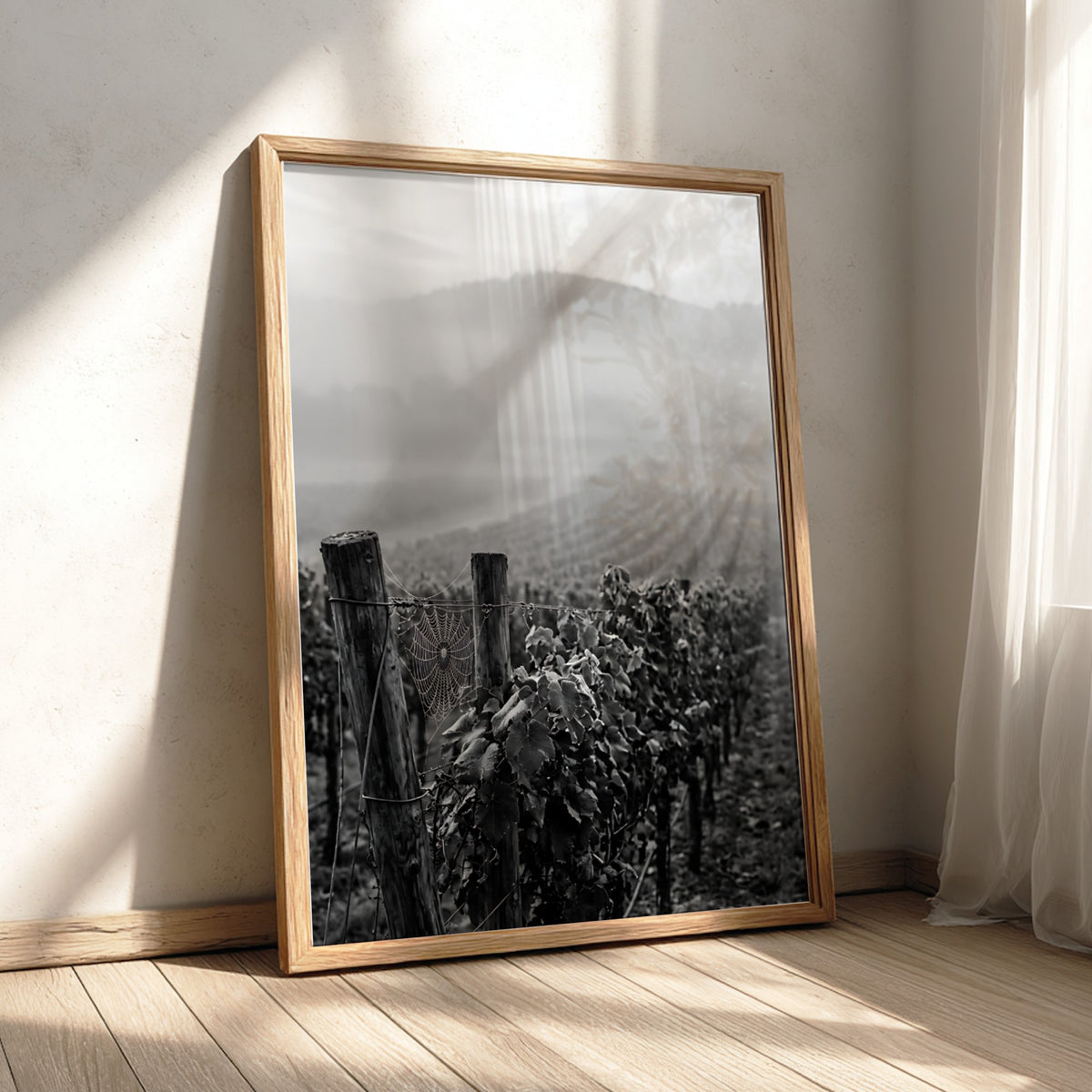 Black and white photographic wall decor showing mist covered vineyard rows with wooden posts and distant hills