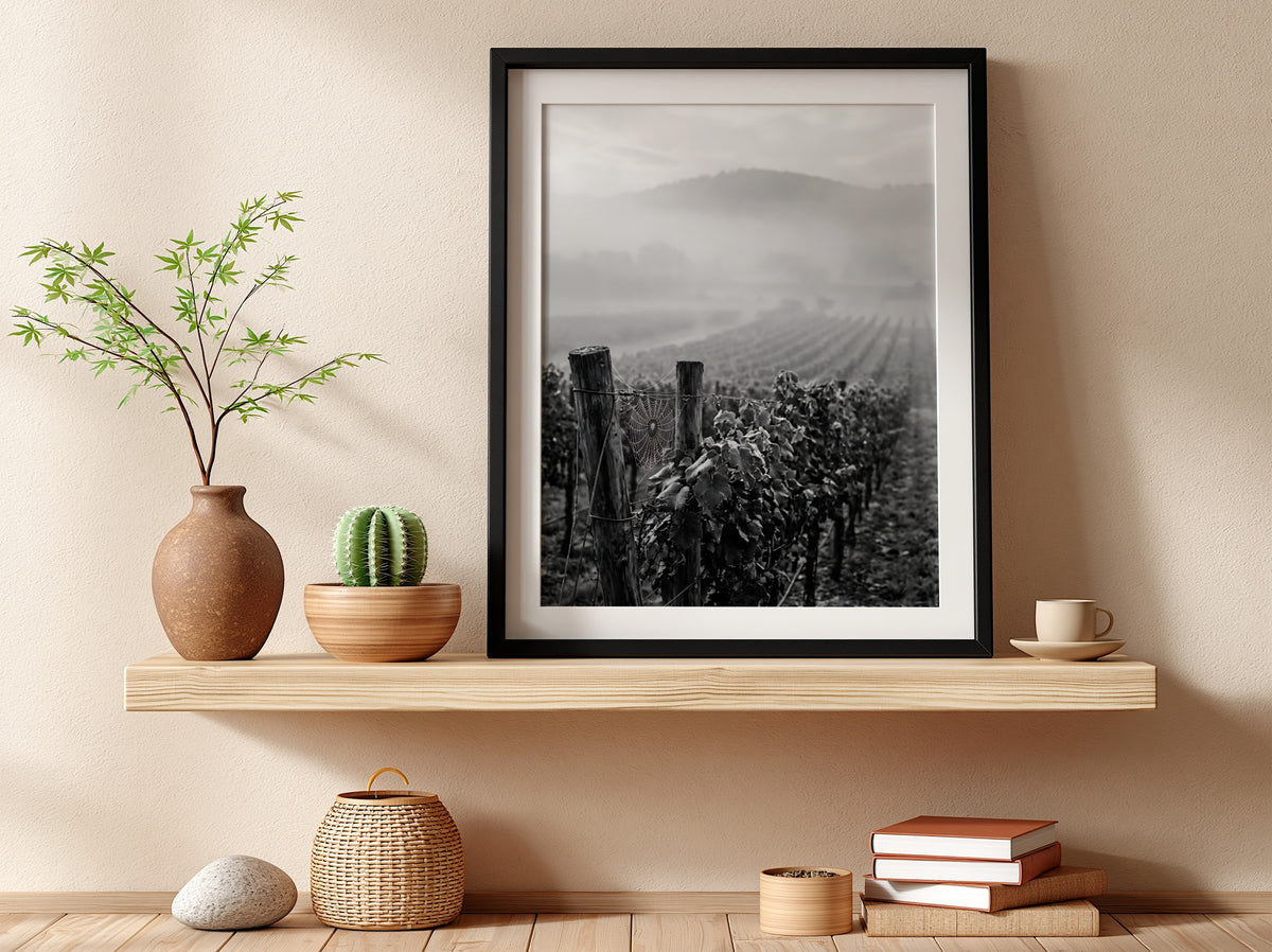 Black and white photographic wall decor showing mist covered vineyard rows with wooden posts and distant hills