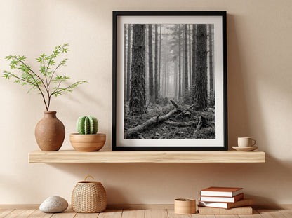 Poster of mist drifting through tall pine forest in black and white monochrome style