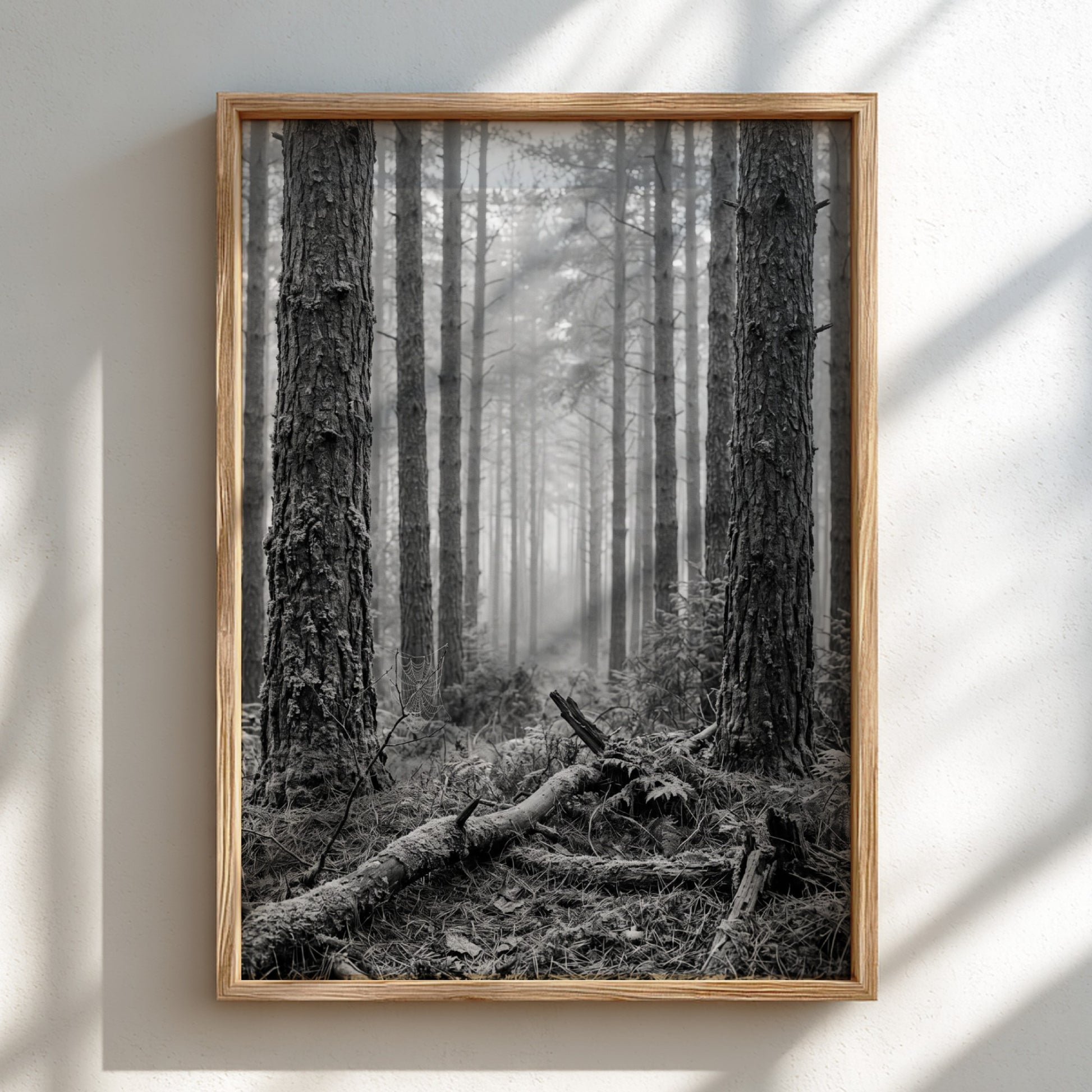 Poster of mist drifting through tall pine forest in black and white monochrome style