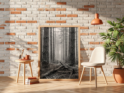 Poster of mist drifting through tall pine forest in black and white monochrome style