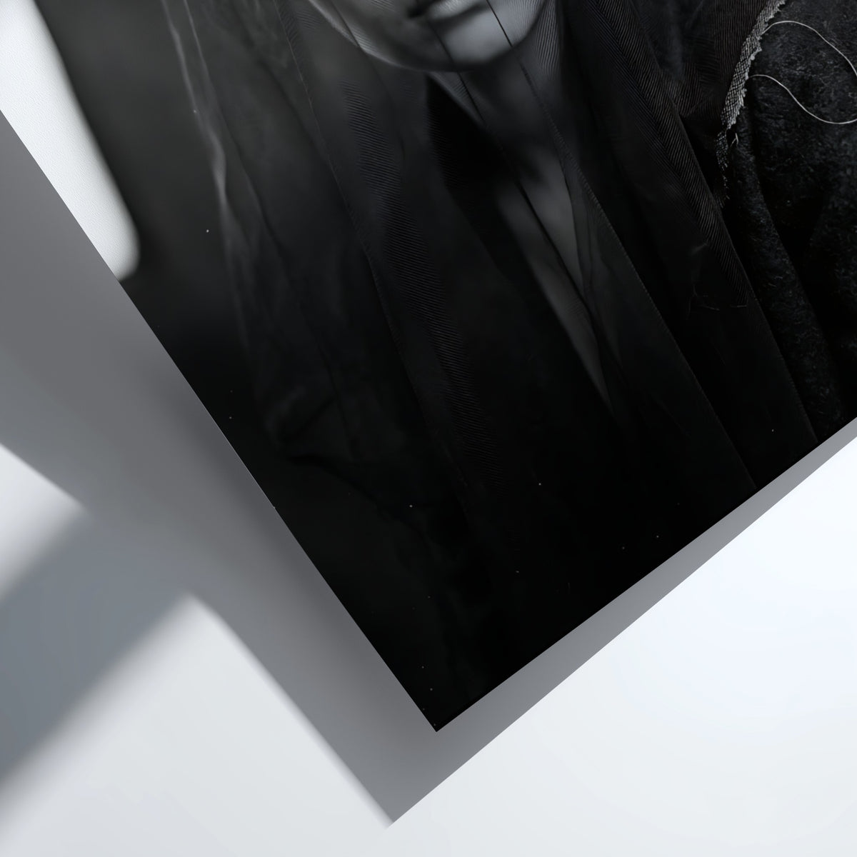 Black and white portrait wall decor of a model behind a sheer veil with soft shadows