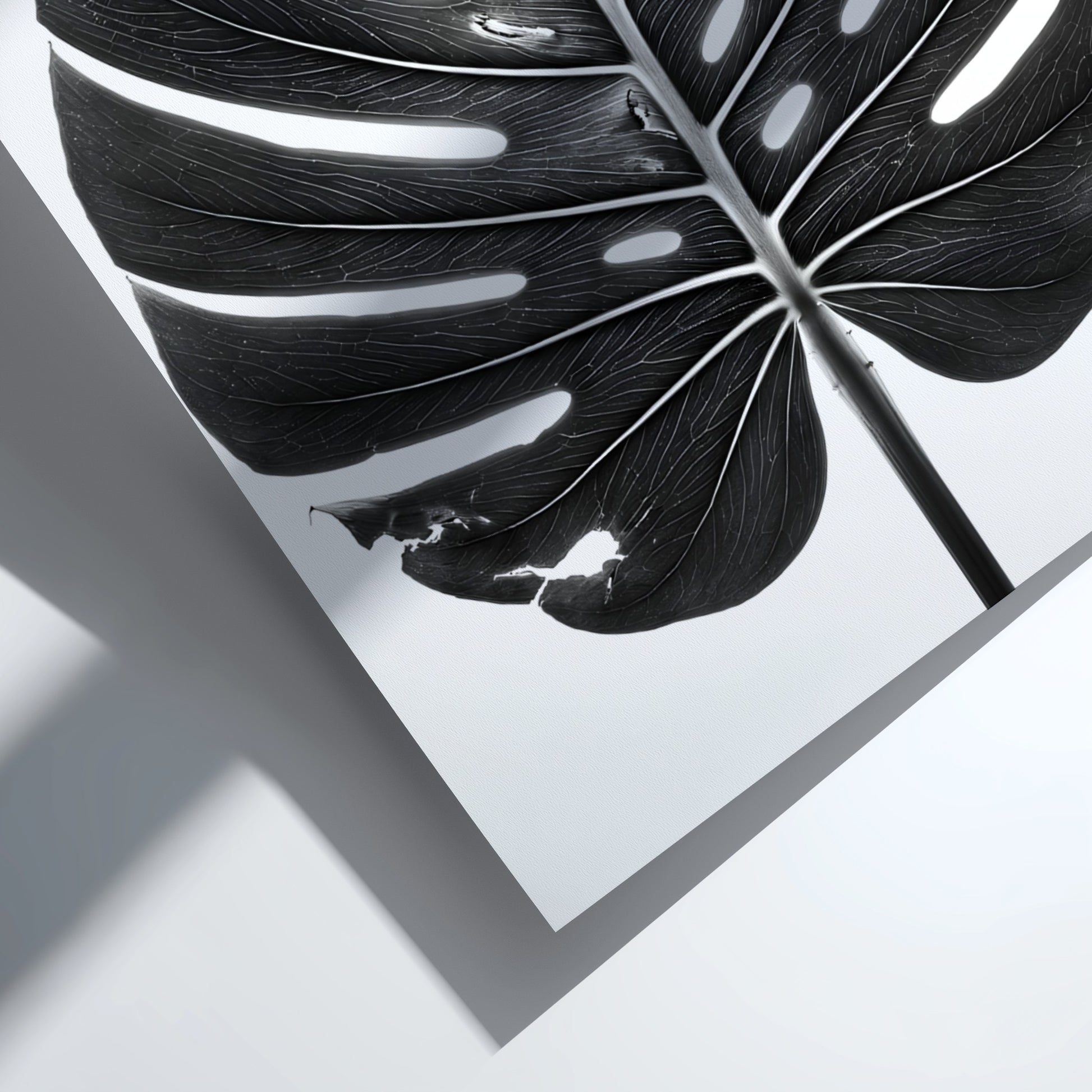 Wall decor featuring a black Monstera leaf with backlit studio effect and natural wood frame on white