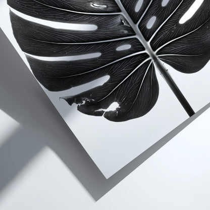 Wall decor featuring a black Monstera leaf with backlit studio effect and natural wood frame on white
