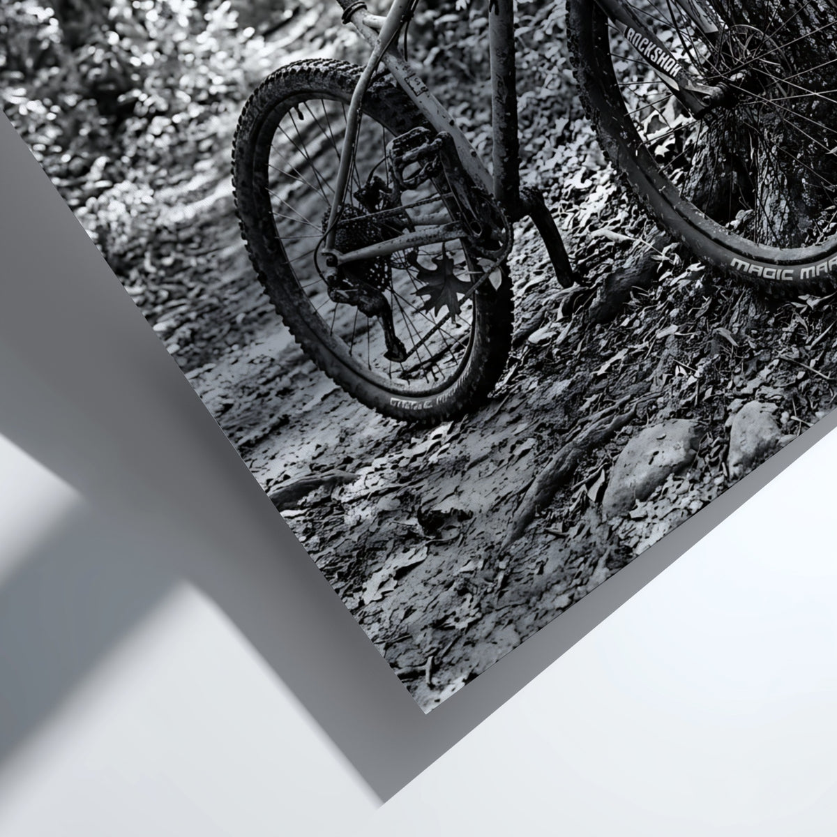 Black and white wall decor showing mountain bike resting against tree in forest with textured bark
