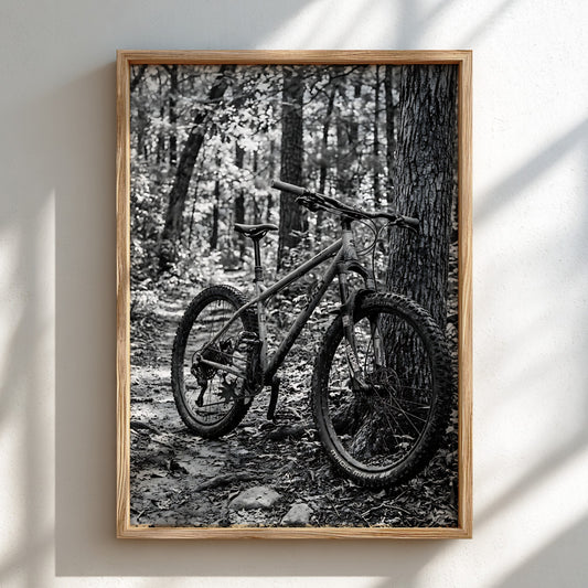 Black and white wall decor showing mountain bike resting against tree in forest with textured bark