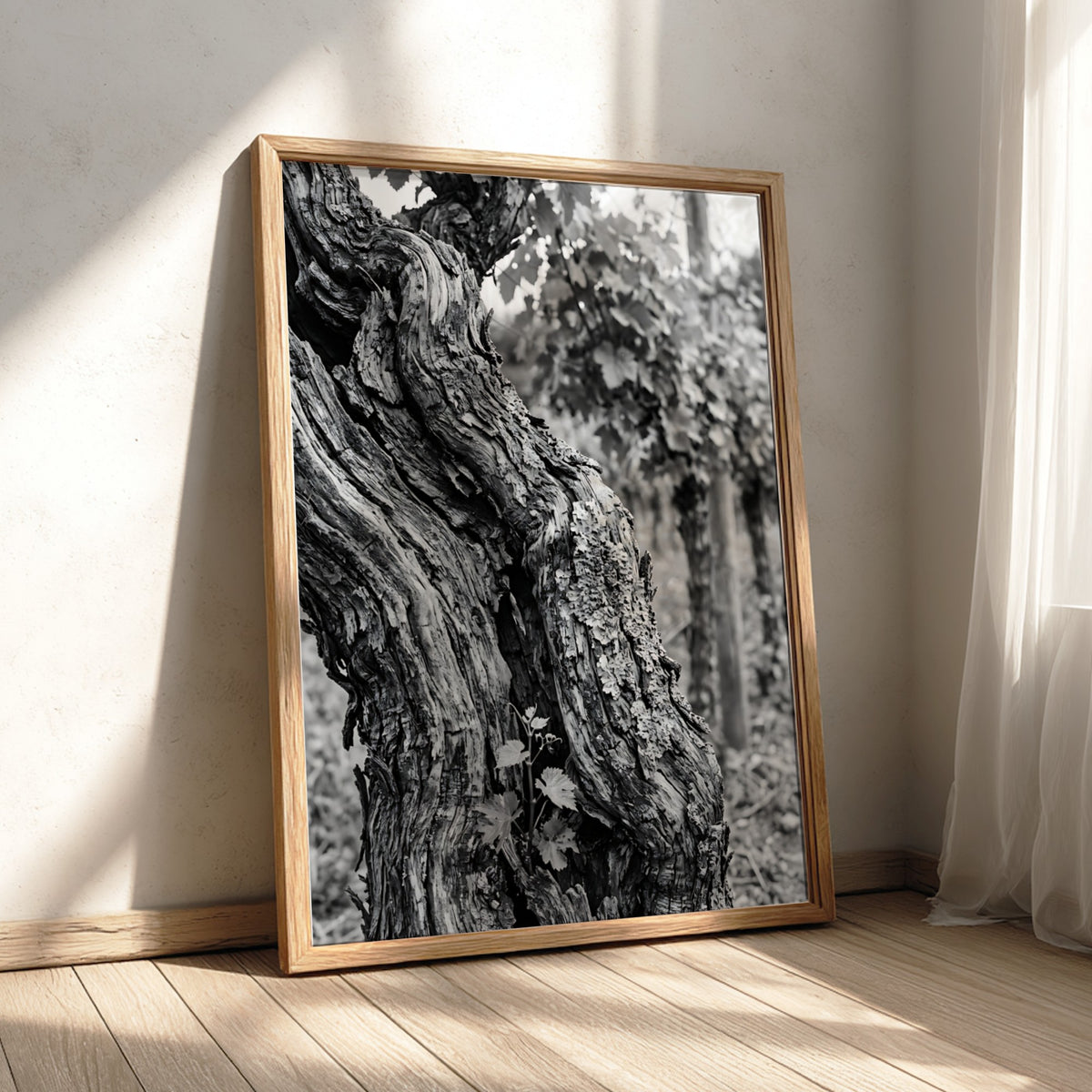 black and white photo print of old grapevine trunk with textured bark and natural background