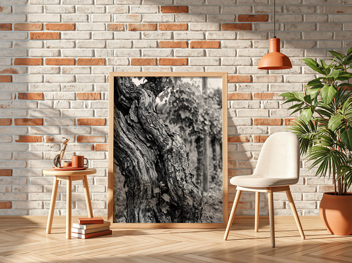black and white photo print of old grapevine trunk with textured bark and natural background
