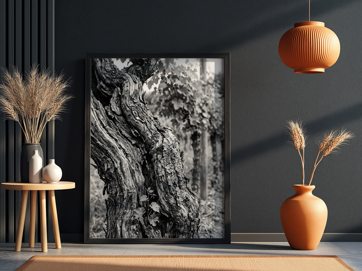 black and white photo print of old grapevine trunk with textured bark and natural background