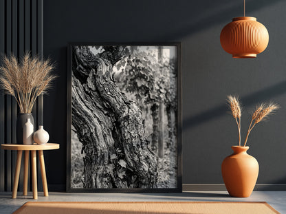 black and white photo print of old grapevine trunk with textured bark and natural background